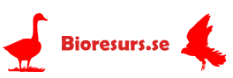 Bioresurs – Biologi – läran om livet